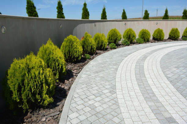Best Driveway Repair Near Me  in Arroyo Seco, NM